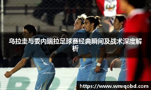 qmh球迷汇