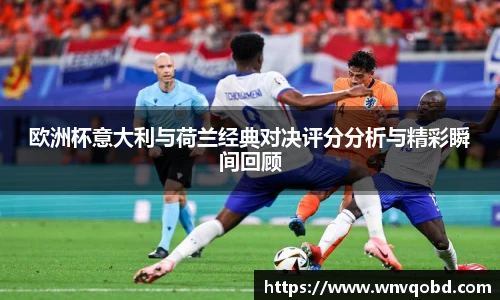 qmh球迷汇