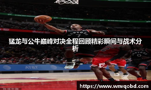 qmh球迷汇