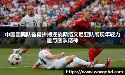 qmh球迷汇